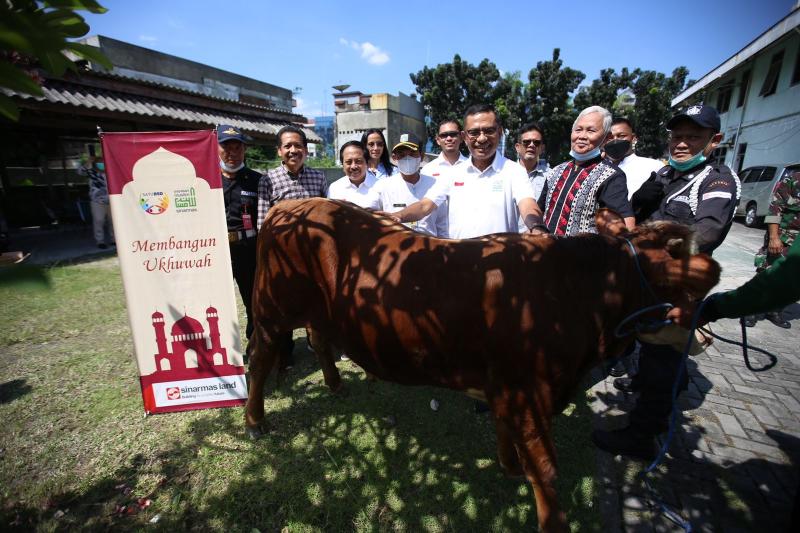 Membangun Ukhuwah, Sinar Mas Land Salurkan Hewan Kurban Sekaligus Kurangi Sampah Plastik