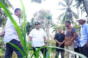 Kunjungan Wakil Bupati Tanah Datar ke Pertanian Masyarakat Nagari Tapi Selo Terkait Adanya Kesulitan Air Pertanian