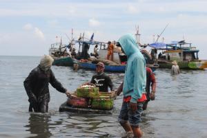 Hari Pangan Sedunia 2022: Petani Kecil dan Nelayan Harus Jadi Pusat Transformasi Sistem Pertanian-pangan