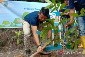 Peduli Isu Lingkungan, PNM Tanami Ribuan Pohon di Hutan Bagan Pete Kota Jambi