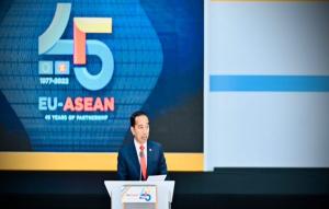 Presiden Jokowi: Kemitraan ASEAN-UE Harus Didasarkan pada Prinsip Kesetaraan