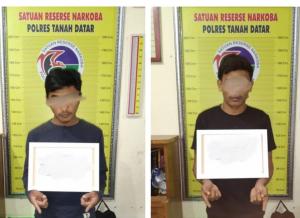 Dua Penyalagunaan Ganja kering ditangkap Tim Polsek Lintau Buo Utara