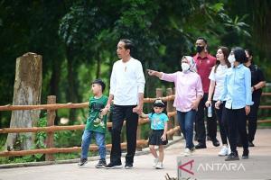 Selesai Renovasi Tahab I, Jokowi bersama Keluarga Berkunjung ke Solo Safari di Jurug