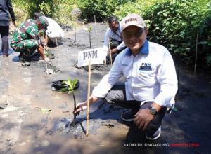 
																																							Lestarikan Lingkungan, PNM Cabang Blitar Tanam 5.000 Bibit Mangrove di Pantai Pasur