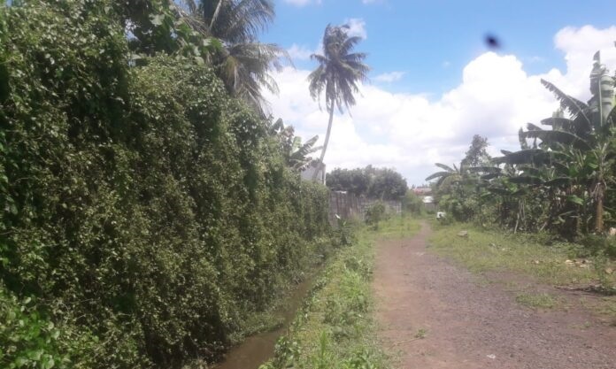 Sengketa Lahan  Situ Kayu Antap, Pejabat dan Anggota Dewan Tangsel Memilih Bungkam