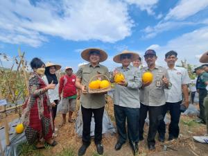 Kunker ke Tangerang, Wamentan: Integrasi Pertanian di Tangerang Dukung Ketahanan Pangan Nasional