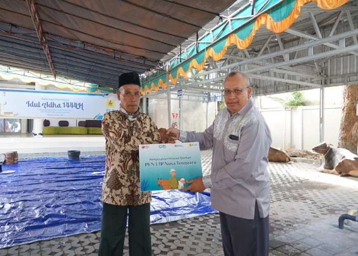 Sambut Hari Raya Idul Adha, PLN UIP Nusra Berbagi Daging Kurban untuk Para Mustahik Sekitar Wilayah Perusahaan