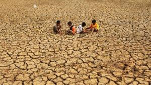 Antisipasi Puncak El Nino, Pemerintah Jaga Ketersediaan Air dan Pangan