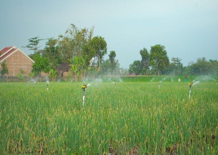 Pertanian Modern Berbasis Listrik Kian Berkembang, Program Electrifying Agriculture PLN Tumbuh 22,28 Persen