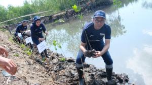 Wujudkan Program TJSL, PNM Lakukan Penanaman Mangrove di Lombok NTB