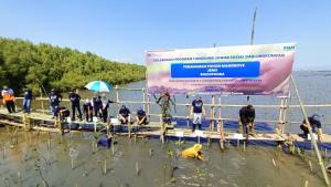 Rayakan HUT ke-78 RI, PNM Tanam 22.000 Pohon Mangrove untuk Bantu Tekan Polusi & Stabilkan Ekosistem Pesisir