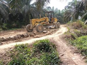 PTPN VI Perbaiki  Jalan Utama Desa 