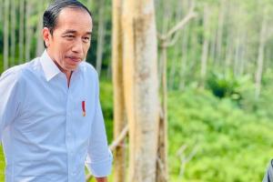 Jokowi Sampaikan Setiap Bulan Harus Ada Groundbreaking di IKN Nusantara