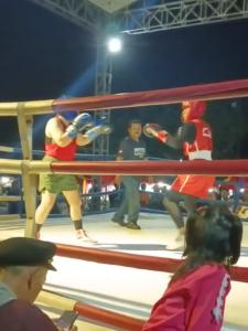 Atlet Tinju Koarmada II Berhasil Sabet 4 Medali Emas Di Event Pusara Super Fight 2023
