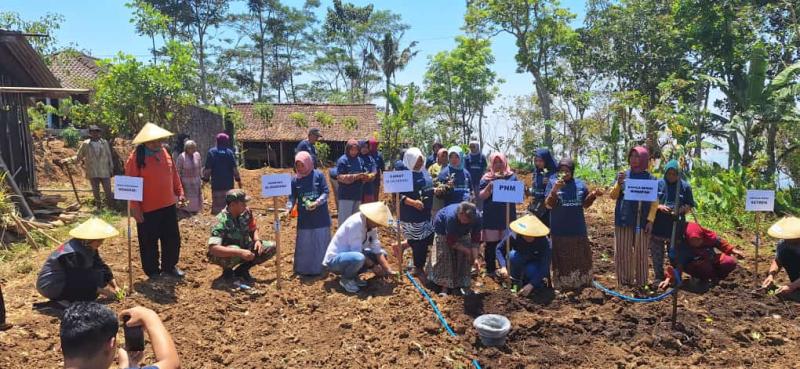 Dukung Petani Indonesia, PNM Beri 10.000 Lebih Bibit Unggul Untuk Panen