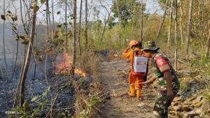 Lahan Terbakar Seluas Sembilan Hektar di Sragen Berhasil Dipadamkan