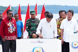 Panglima TNI Dampingi Presiden RI di Puncak Sail Teluk Cenderawasih 2023