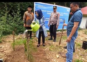 Cegah Longsor, PNM Padang Tanam Pohon Pelindung di Ngarai Balai Panjang