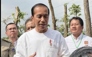 Jawab Kritik Anies Soal IKN, Jokowi: Boleh Sampaikan Opini, Tapi IKN Sudah Ada UU-nya