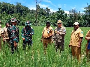 PJ Bupati Maybrat Perkuat Sektor Pertanian dengan Bantuan Alat Giling Padi Canggih