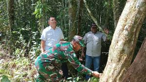 TNI Manunggal Membangun Desa ke-119: Penanaman Vanili di Kampung Segior, Kabupaten Maybrat