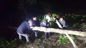 Terjebak di Tengah Hutan, PJ Bupati Maybrat Bersama Rombongan Berhasil Singkirkan Pohon yang Tumbang di Tengah Jalan