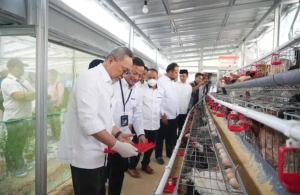 
                                       Menko Pangan Zulhas Apresiasi Program Rumah Pangan PNM dan Pemberdayaan Nasabah Mekaar