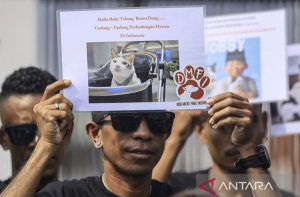 
                                       Pergub Larangan Perdagangan Daging Anjing dan Kucing Resmi Berlaku di Jakarta