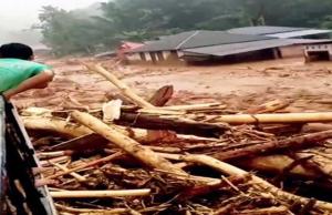 
                                       Ini Penjelasan Pakar Terkait Asal Usul Kayu Gelondongan di Lokasi Longsor Sumatera Utara