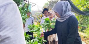 
                                       Urban Farming Terbukti Turunkan Suhu Kota dan Perkuat Pangan Perkotaan