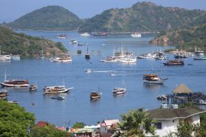 
                                       Coreng Citra Pariwisata, Polisi Tahan Bos Travel "Labuan Bajo Top" Usai Tipu Wisatawan dan Gelapkan Uang Rp85 Juta