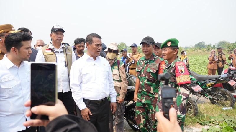 Soal Tentara Bantu Petani, Mentan Amran: Prajurit TNI yang Membantu Kegiatan Pertanian Tidak Memperoleh Tambahan Honor