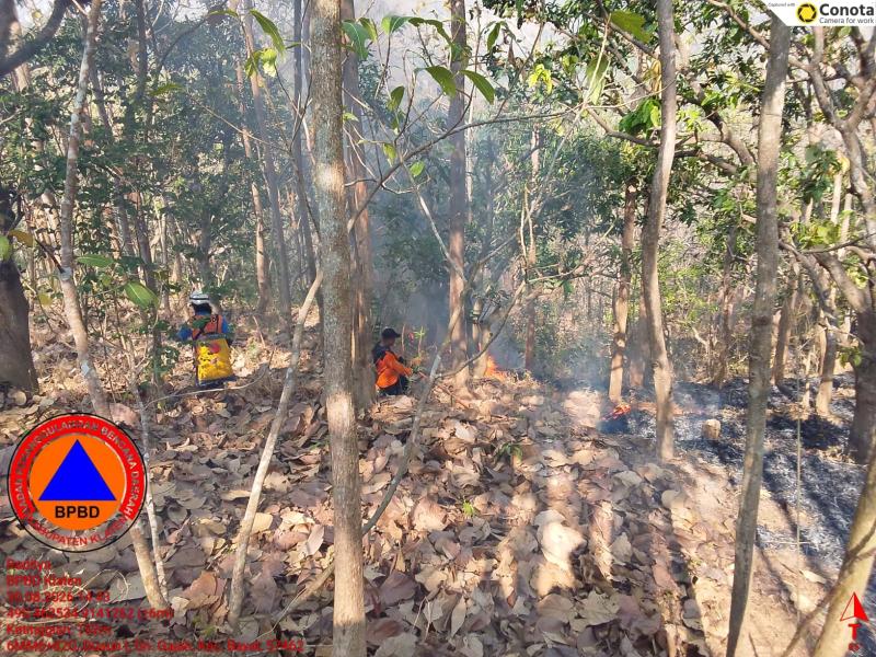 Hingga Senin, BNPB Catat 6 Karhutla di Sejumlah Wilayah