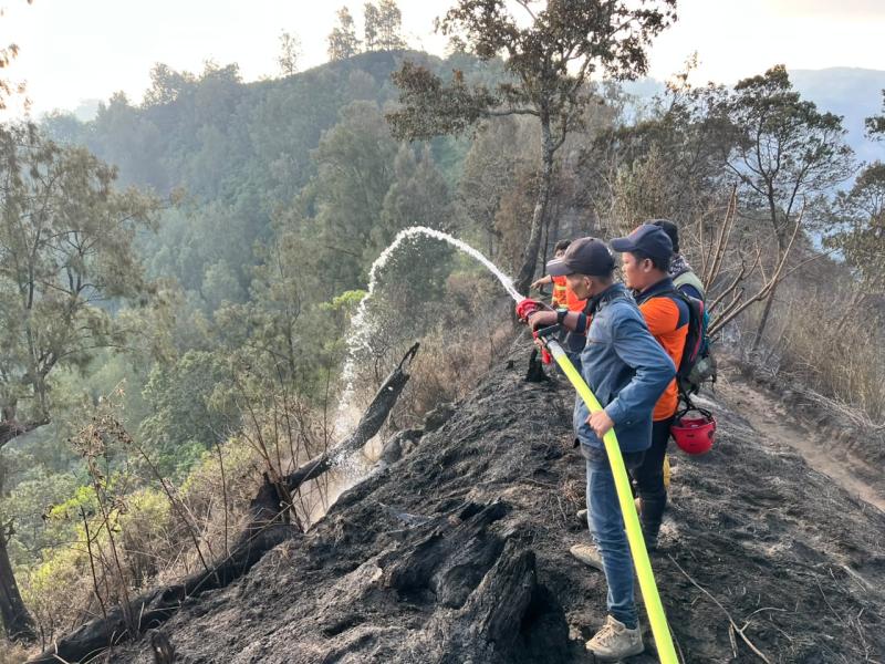 Penanganan Karhutla Berlanjut di Sejumlah Gunung Jawa Timur, Dampak Kejadian Masih dalam Proses Pendataan